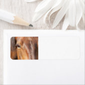 Rücksendeadressen-Aufkleber (Insitu)