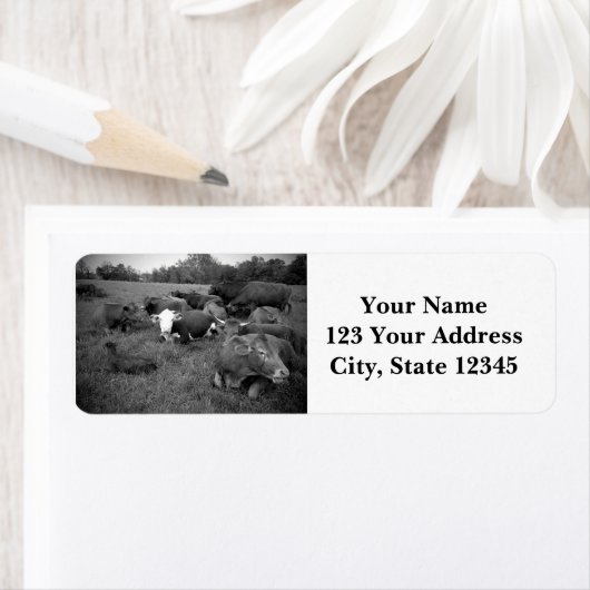 Rücksendeadressen-Aufkleber (Insitu)