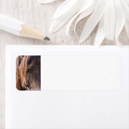 Rücksendeadressen-Aufkleber (Insitu)