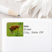 Rücksendeadressen-Aufkleber - Bison Calf Yellowsto (Insitu)