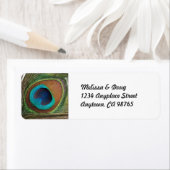 Rücksendeadressen-Aufkleber der Pfauenfüßer (Insitu)