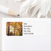 Rücksendeadressen-Aufkleber - Herbstwald (Insitu)