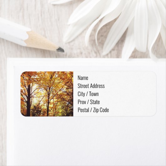 Rücksendeadressen-Aufkleber - Herbstwald (Insitu)