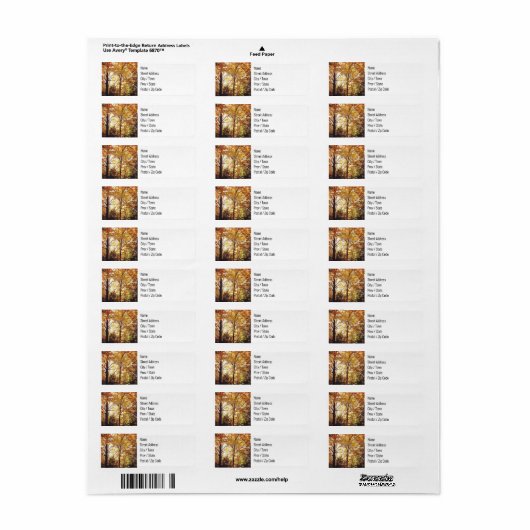 Rücksendeadressen-Aufkleber - Herbstwald (Vorne)