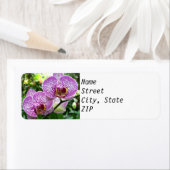 Rücksendeadressen-Aufkleber - Lila Gepunktete Orch (Insitu)