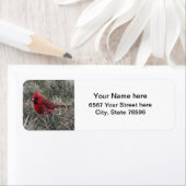 Rücksendeadressen-Aufkleber mit rotem Kardinal (Insitu)