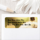 Rücksendeadressen-Aufkleber mit weißem Ornament (Insitu)