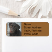 Rücksendeadressen-Aufkleber - Schokolade Labrador (Insitu)