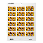 Rücksendeadressen-Aufkleber Sonnenblumenschwein Adressaufkleber (Vorne)