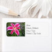Rücksendeadressen-Aufkleber - Stargazer Lily (Insitu)