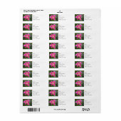 Rücksendeadressen-Aufkleber - Stargazer Lily (Vorne)