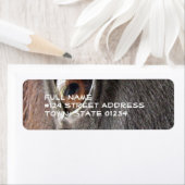 Rücksendeaufkleber für das Schwarze Horn (Insitu)