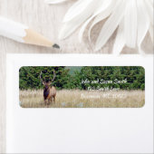 Rücksendekennzeichen für Bull Elk (Insitu)