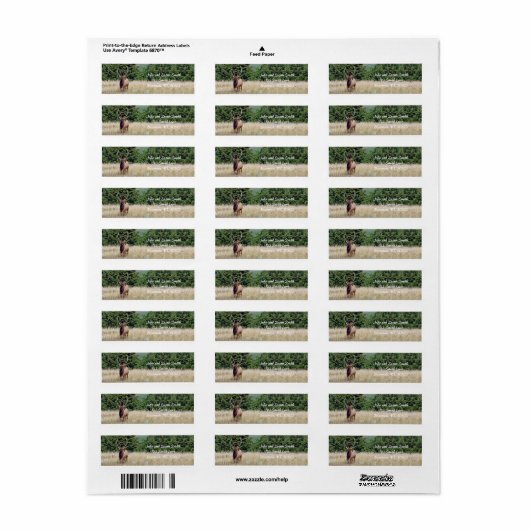 Rücksendekennzeichen für Bull Elk (Vorne)