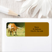 Rücksendekennzeichen für einsame Rinder. (Insitu)