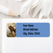 Rücksendekennzeichen für Großadler (Insitu)