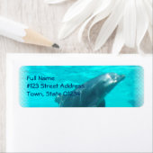 Rücksendesiegel für das Schwimmdolphin (Insitu)