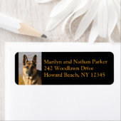 Rücksendesiegel für den Hundehund (Insitu)