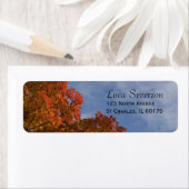 Rücksendesiegel für Herbstuntergänge und Blue Sky (Insitu)