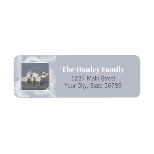 Rücksendesiegel für Schwäne und Feathers (Vorne)