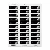 Rücksendesiegel für White Rose (Vorne)