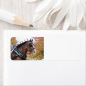 Rücksendetikett für Pferde von Clydesdale (Insitu)