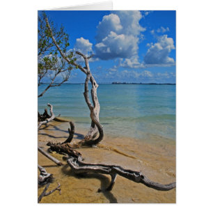 Rückstand zum blinden Durchlauf