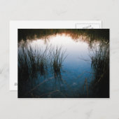 Rückstrahlungen Postkarte (Vorne/Hinten)