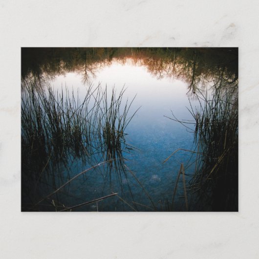 Rückstrahlungen Postkarte (Vorderseite)