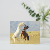 Ruckus Postkarte (Stehend Vorderseite)