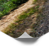 Rückweg durch die Frühlingsfelder von Canola Poster (Ecke)