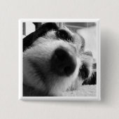 Rückwirkende Abdeckung Button (Vorderseite)