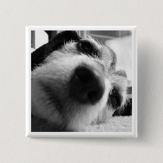 Rückwirkende Abdeckung Button (Vorderseite)