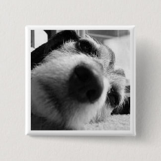 Rückwirkende Abdeckung Button