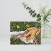 Rückwurfhähnchen Postkarte (Stehend Vorderseite)