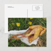 Rückwurfhähnchen Postkarte (Vorne/Hinten)