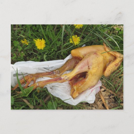 Rückwurfhähnchen Postkarte (Vorderseite)