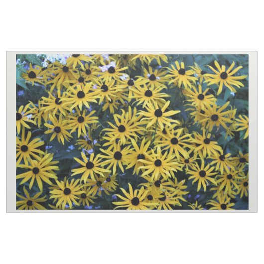 Rudbeckia Black Mit Augen Susans Full Foto Stoff (Yard (91,4 cm))