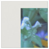 Rudbeckia Black Mit Augen Susans Full Foto Stoff (Nahaufnahme)