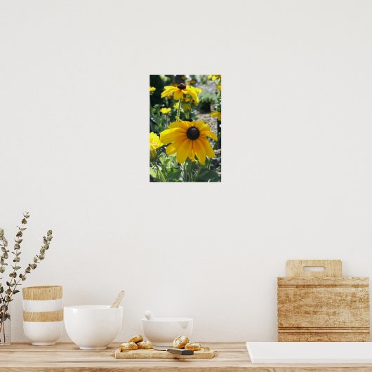"Rudbeckia Bloom" Poster (Küche)