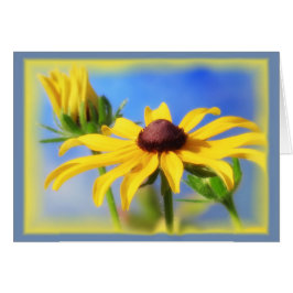 Rudbeckia Blues - Vignette