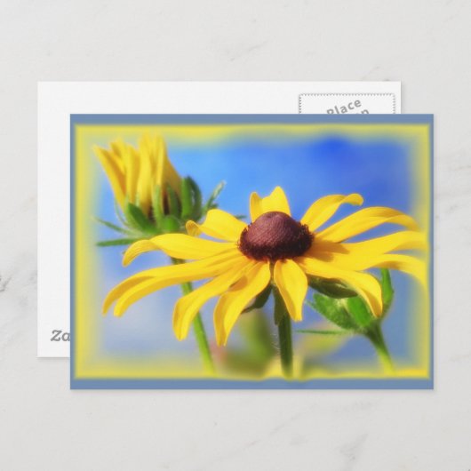 Rudbeckia Blues - Vignette Postkarte (Vorne/Hinten)