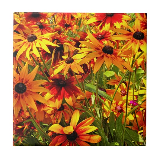 RUDBECKIA-BLUME FLIESE (Vorderseite)