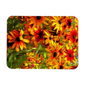RUDBECKIA-BLUME MAGNET (Horizontal)