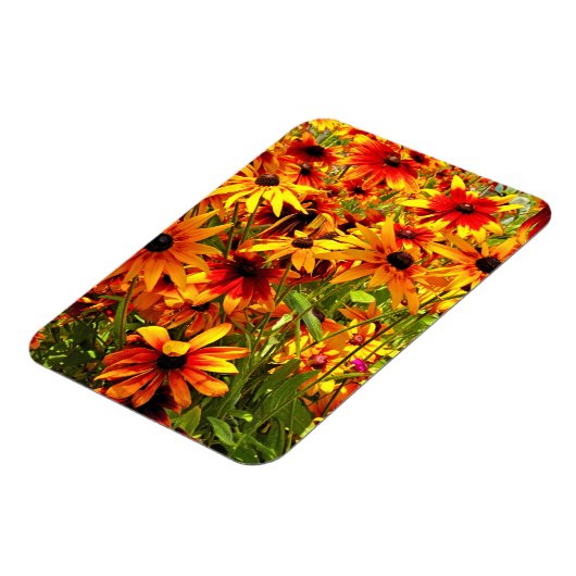 RUDBECKIA-BLUME MAGNET (Linke Seite)