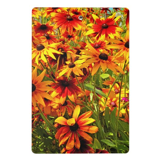 RUDBECKIA-BLUME MINI KLEMMBRETT (Rückseite)