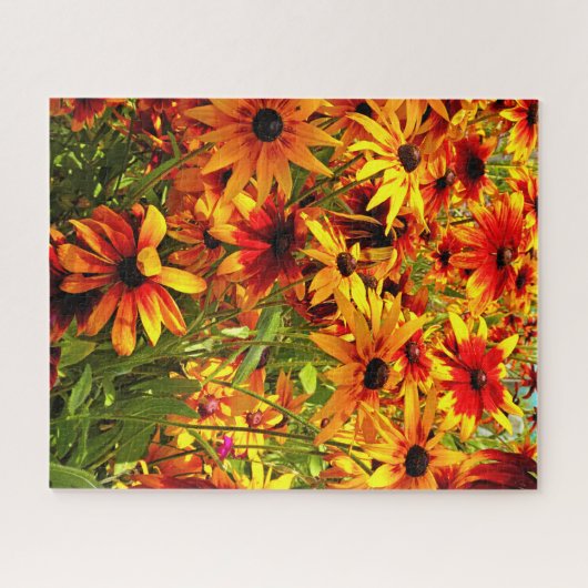 RUDBECKIA-BLUME PUZZLE (Horizontal)