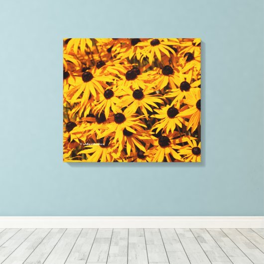 Rudbeckia Fulgida / Orangenblume Leinwanddruck (Insitu (Holzboden))