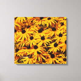 Rudbeckia Fulgida / Orangenblume Leinwanddruck