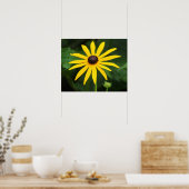 Rudbeckia hirta poster (Küche)